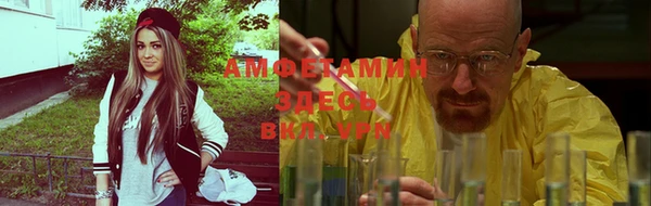 гашик Алексеевка