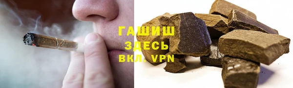 гашик Алексеевка
