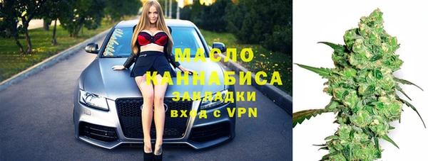 гашик Алексеевка