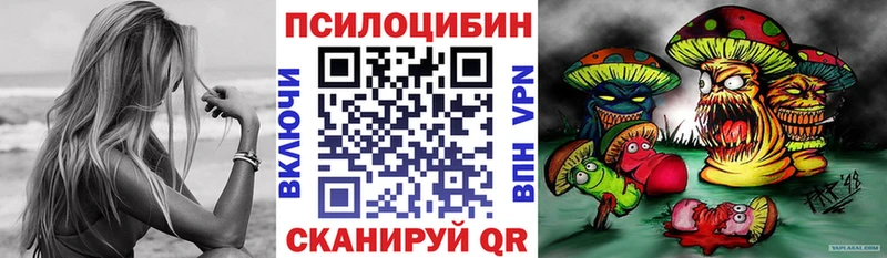 Псилоцибиновые грибы прущие грибы  Павлово 